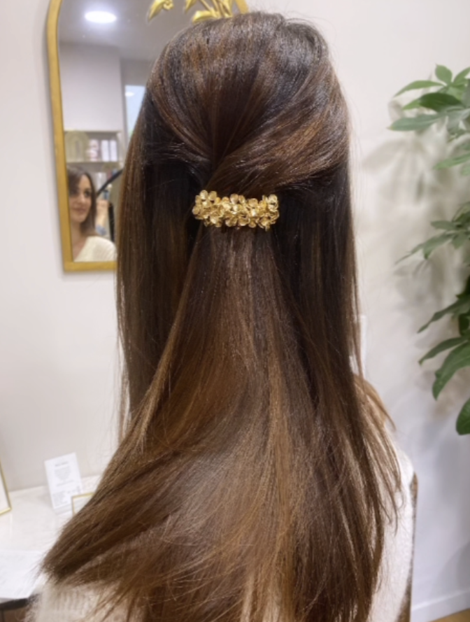 Barrette Apolline