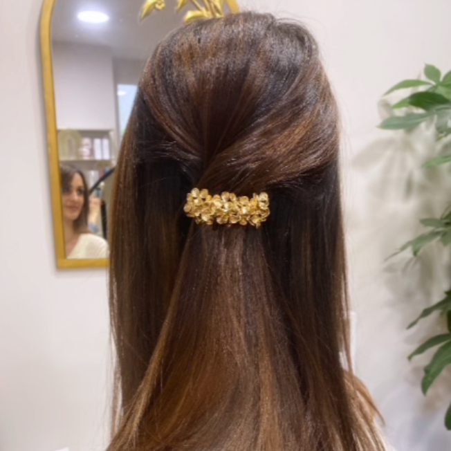 Barrette Apolline