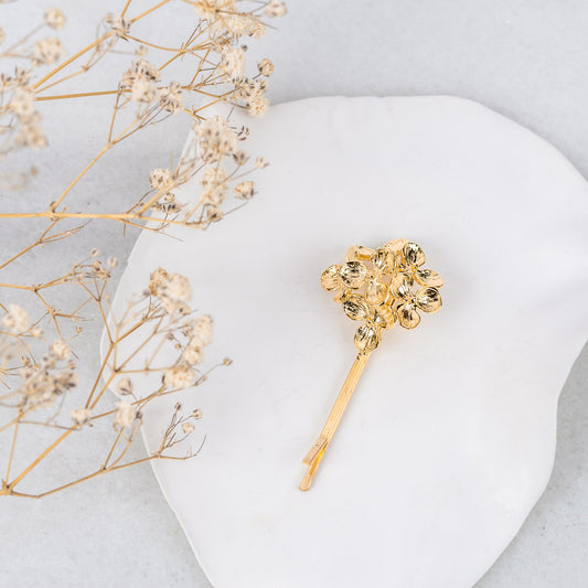 Pince Apolline - maisonapollonia