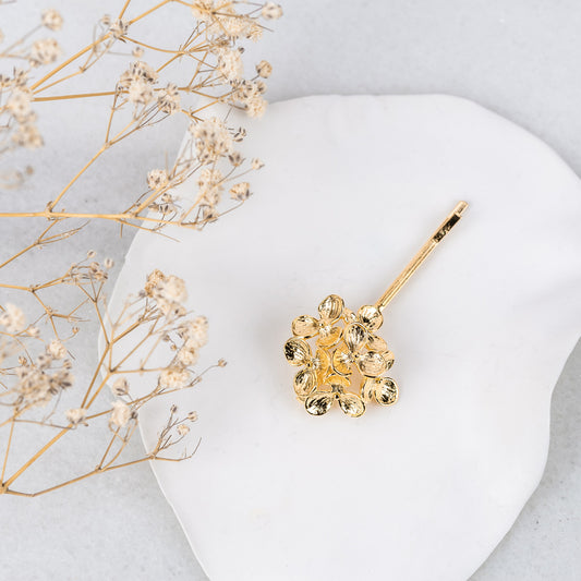 Pince Apolline - maisonapollonia